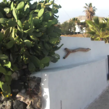 Kokos Traditional דירה Emporio (Santorini)