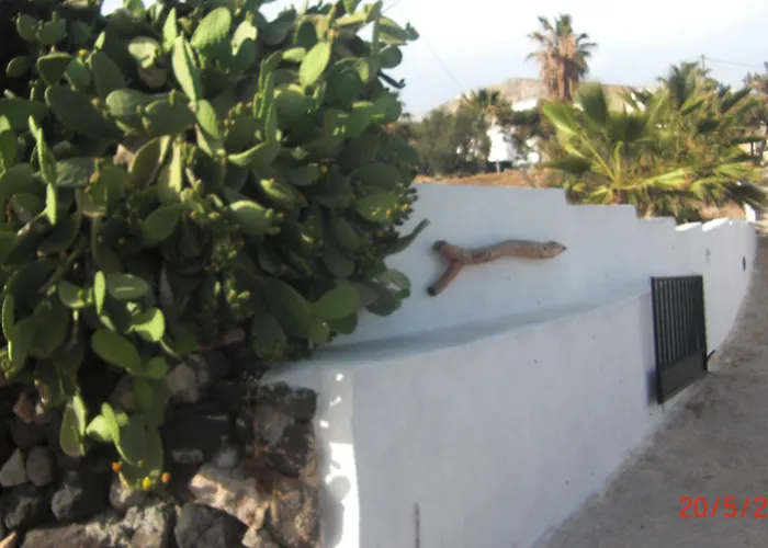 可可斯传统别墅 公寓 Emporio (Santorini)